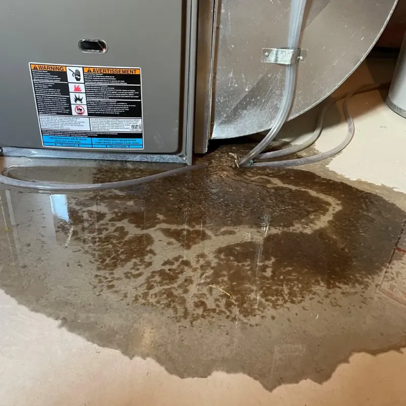 Appliance Leak Cleanup in East Prairie, MO