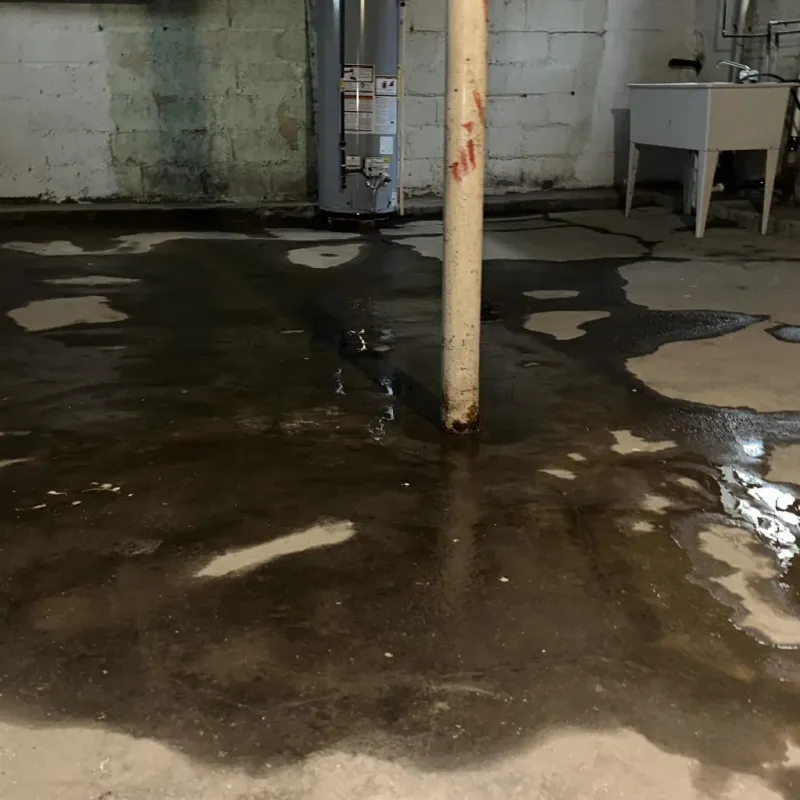 Emergency Water Extraction And Removal in East Prairie, MO
